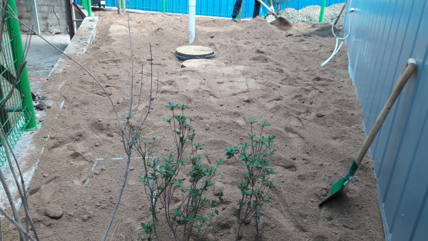 8e3d35878e75151416ce1fc3fbe81b78_1554280