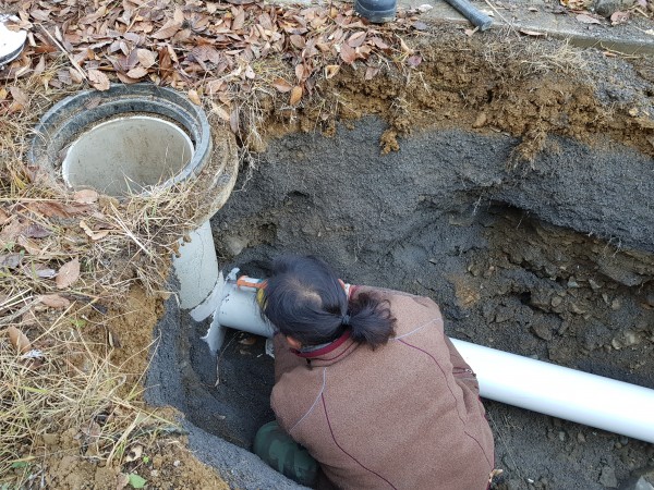 207ad336f1bc0ab6a84e461b2949f88b_1607068