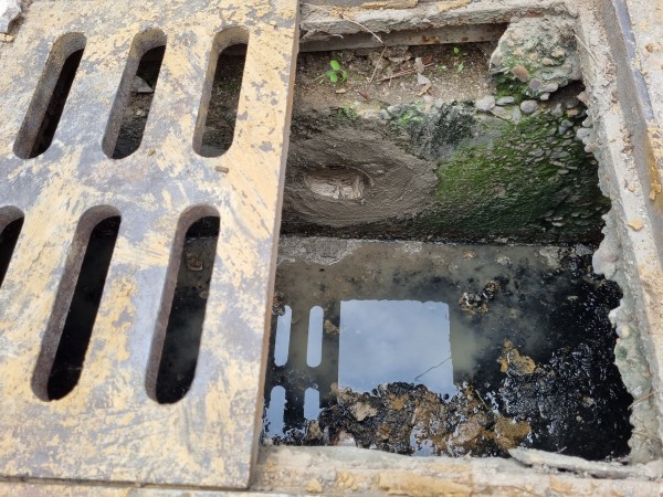 60ac407c122111d887f957d6aa7525da_1624080