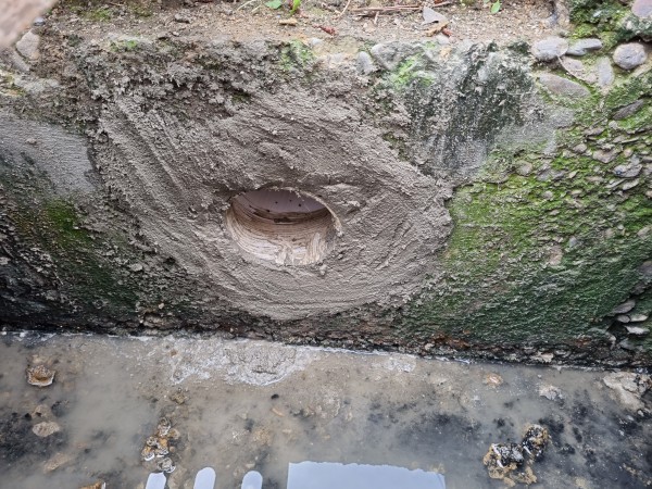 60ac407c122111d887f957d6aa7525da_1624080