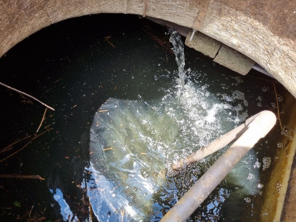 7fdac4db21db76bfae046df00c3d0532_1623112