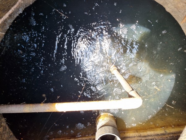 7fdac4db21db76bfae046df00c3d0532_1623112