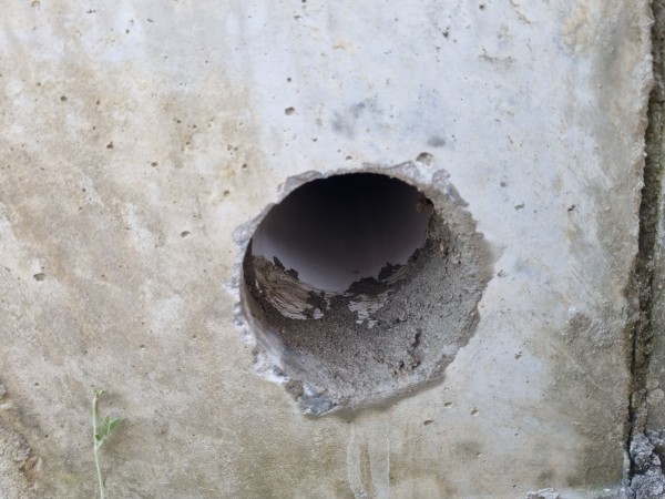 1a7ffaa93a36a8a4edc7741a06ec3b3e_1626396