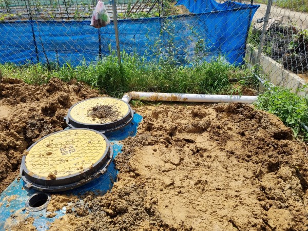 1a7ffaa93a36a8a4edc7741a06ec3b3e_1626396