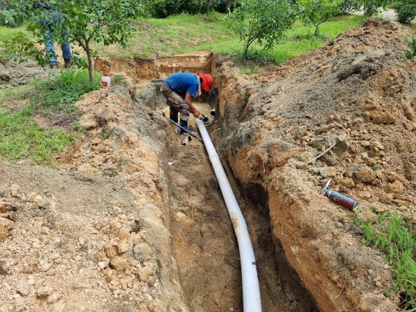 1a7ffaa93a36a8a4edc7741a06ec3b3e_1626397