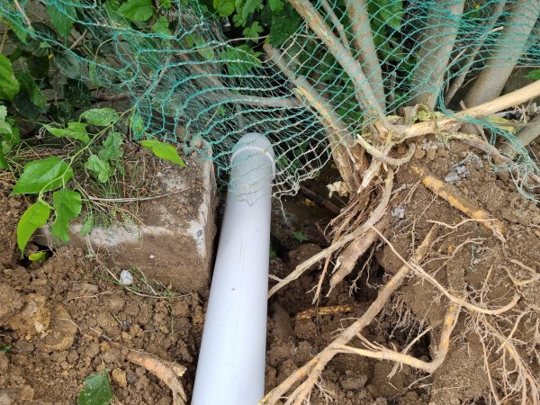 7593307c8bfd6cb59b3c5a600cd9f964_1626947