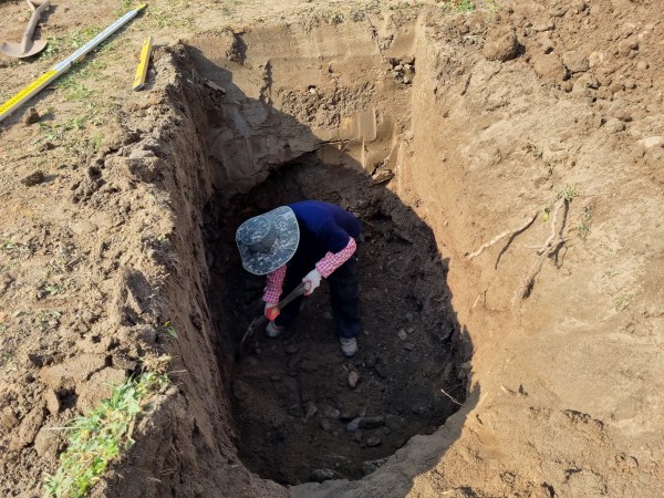 151ee9b12682ed956545f46773c4f956_1636350