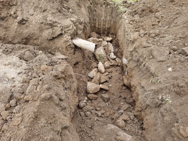 151ee9b12682ed956545f46773c4f956_1636351