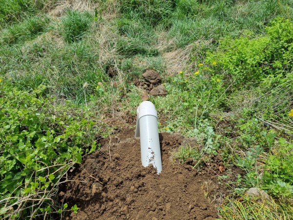 2b8e5908017abd632107efbfff7c694a_1651053