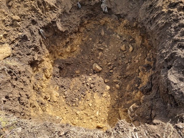 2b8e5908017abd632107efbfff7c694a_1651053