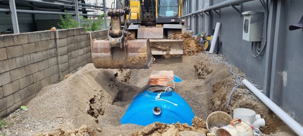 55b1ff86d28442353e0a9255f9822246_1657072