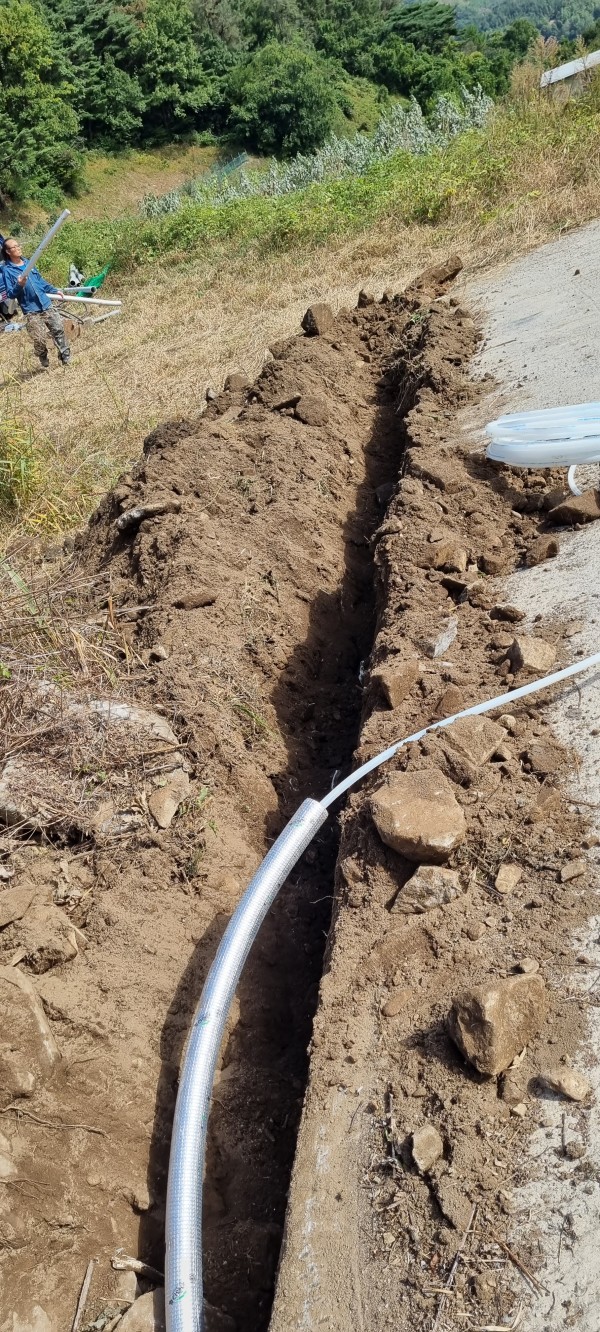 4daae797addc3cbcc3a11563cd6b7ef6_1666083