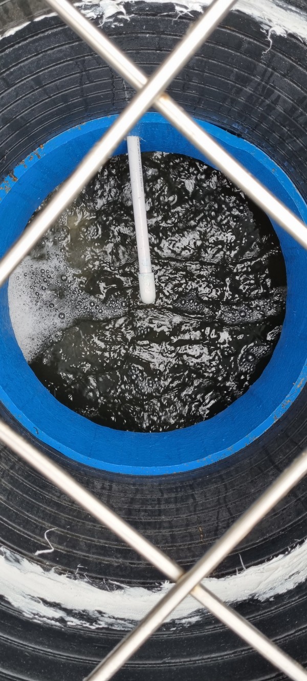 13c954740faff2aaa0ab713ba319b077_1673681