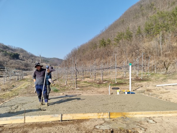 31bcdb91794c180165568092758ca162_1680051