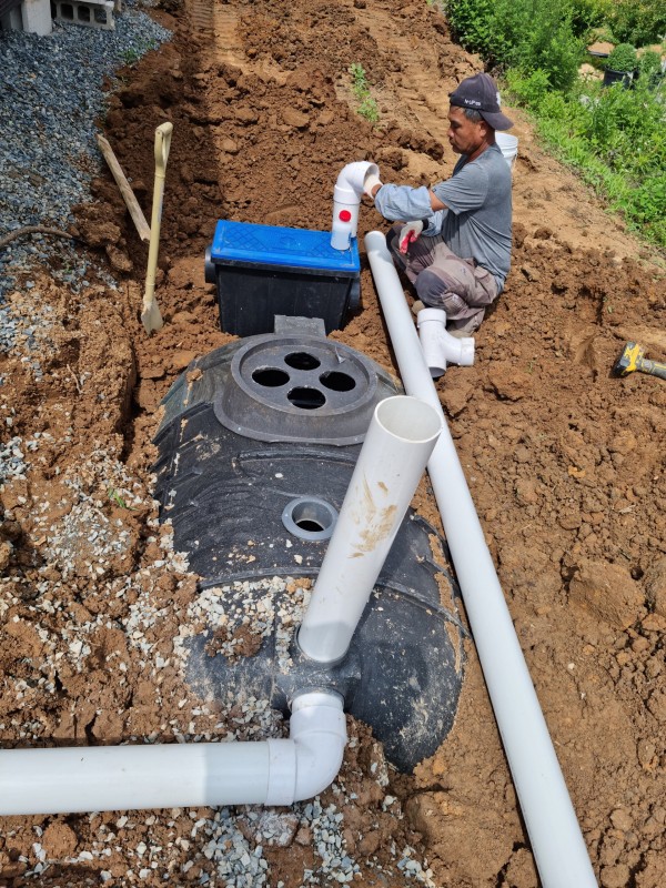 98f6950acbbc5a8323c243feabb8fd2f_1688698