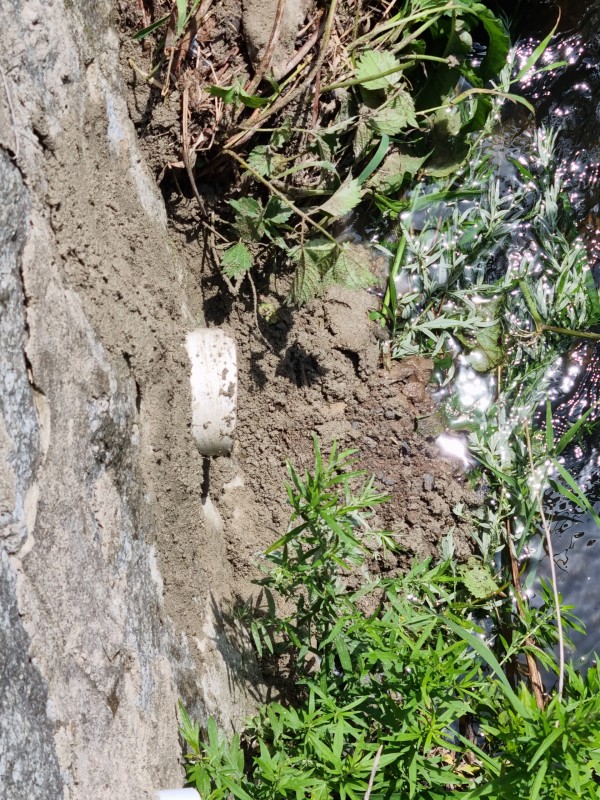 ab036b53ca77f7274c1e506b779fa839_1688532