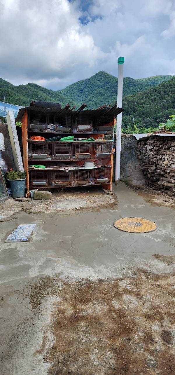 c704ffe1f6a072cea011cdb3beeeac1b_1691535